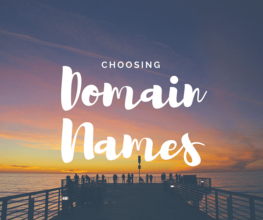 IDENTIFYING Domain Names
